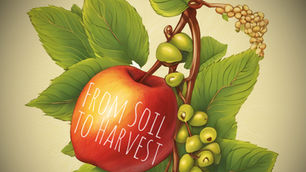 From Soil to Harvest: A Pastor's Bittersweet Goodbye and the Prayer that Seeds of Fruitful Ministry will Continue to Flourish