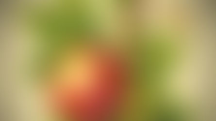 From Soil to Harvest: A Pastor's Bittersweet Goodbye and the Prayer that Seeds of Fruitful Ministry will Continue to Flourish