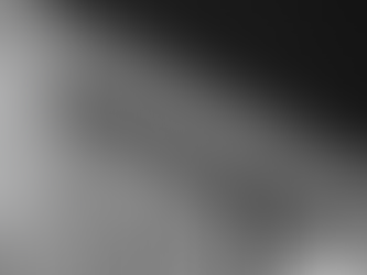 Trojan House Productions × Oriental Ego