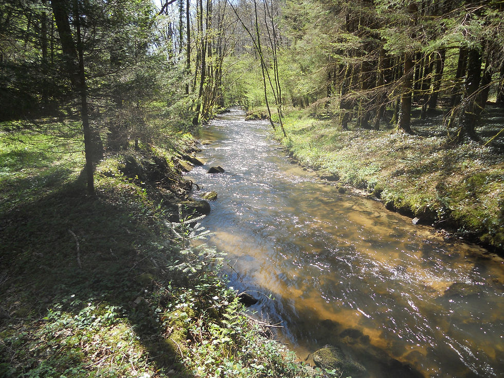 ruisseau 3