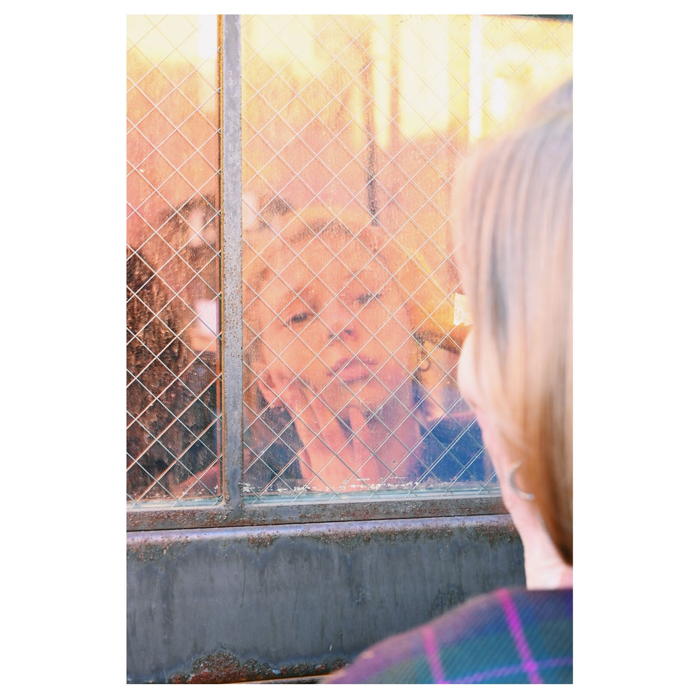 _DSC2656_VSCO