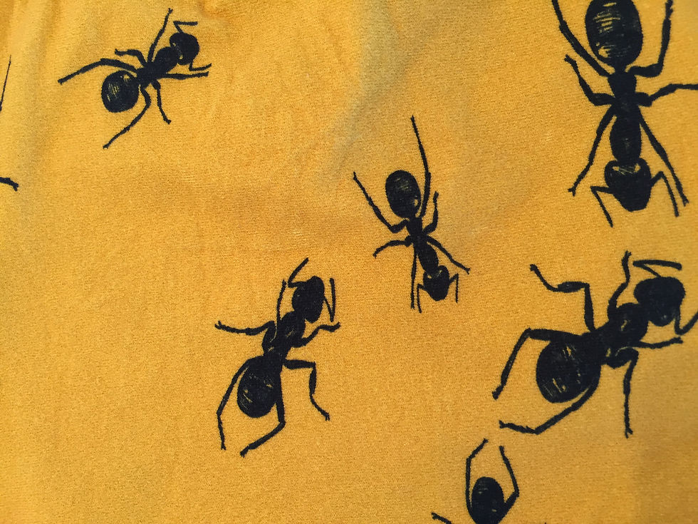 Gul bomull med maur. Unike, fargerike barneklær og luer håndlaget av Urk!
