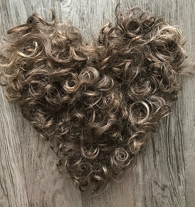 heart.jpg