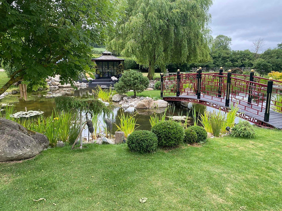 Professional Landscaping and gardening services. Transforming your out door space!