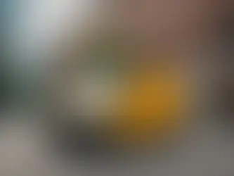 Why Nangs Delivery Brisbane is the City’s Favorite Service