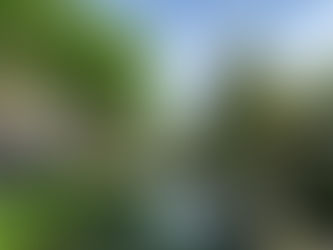 オンラインショップのお知らせ