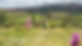 beara-breifne-way-co-cavan.jpg