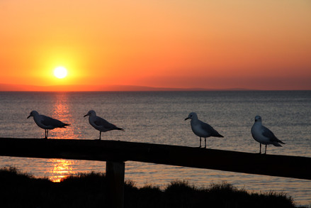 Busselton Foreshore