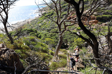 Cape to Cape Coastal Walks