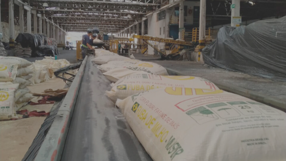 Paraná realiza exportação inédita de fuba de milho