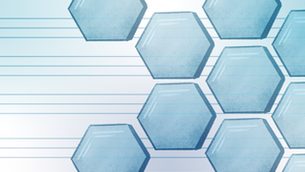 Learning Elevation Framework Part 1: Firm Learning Expectations