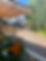garden.jpg