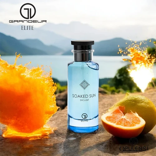 Soaked Sun Exclusif EDP 100ml | Manual Cheiroso