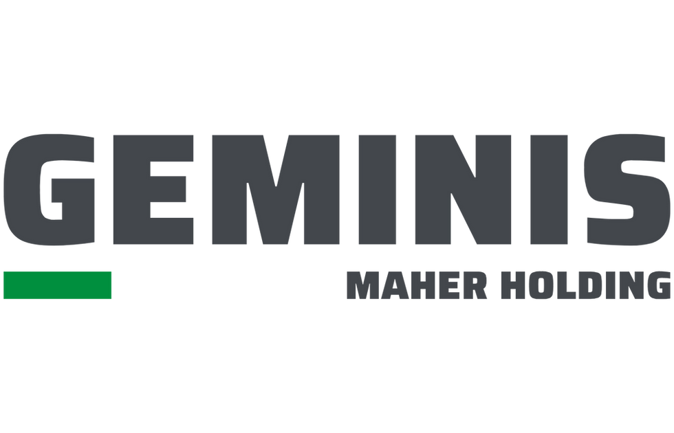 geminis logo.png