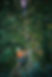 AdobeStock_289927250.jpeg