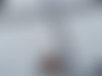 Building for Education: SCH Site Services at Woodlands Academy, Scarborough