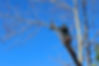 AdobeStock_289927250.jpeg