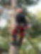 AdobeStock_289927250.jpeg