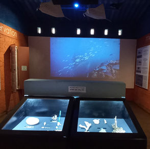 oceans and their secrets