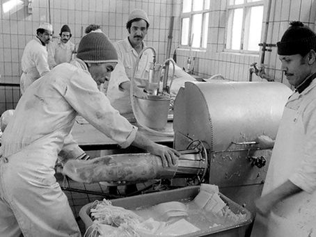 Immigratie in Nederland