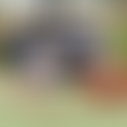 Double your donation to TDS!