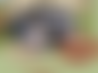 Double your donation to TDS!