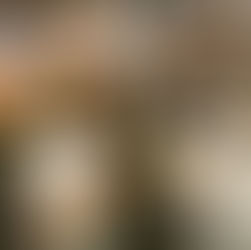 Vela crowned after a 3-0 win over visiting Colorado Rapids