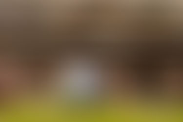 Are you ready to watch world cup matches in LA?