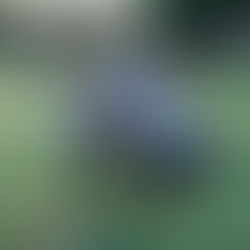 Downs before success