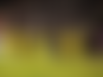 LAFC Dominates Columbus Crew with a 3-0 Victory in Concacaf Champions Cup Opener