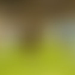 Another supersub moment for LAFC as they secure another three points against Minnesota United FC