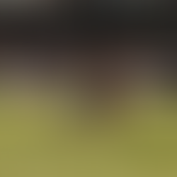 LAFC Falls 1-0 to Austin FC at Home, Dropping to 2-2-0 in MLS Play