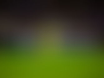 Statement Made: LAFC Take Control with 3-0 Win Over Cruz Azul at BMO