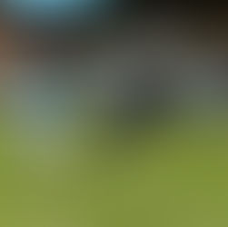 Earthquakes' New style Shows Maturity But Lacks Spark In 0-1 Loss To Minnesota