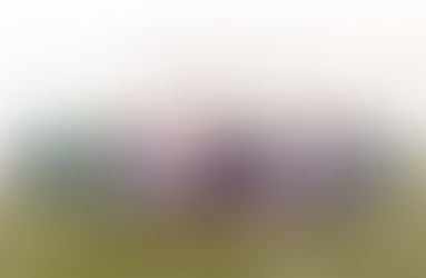 Jonathan Dos Santos gives LA Galaxy a 3.7 magnitude earthquake finish in 2-1 win over rivals LAFC