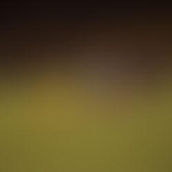 Colorado Rapids Stun Four Liga MX Teams to Advance to Semifinals Against LAFC