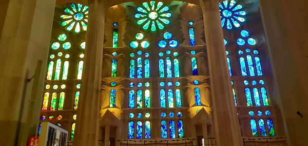 thumbnail_20250107_041118.jpg