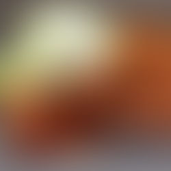 Apple Cinnamon Fruit Leather