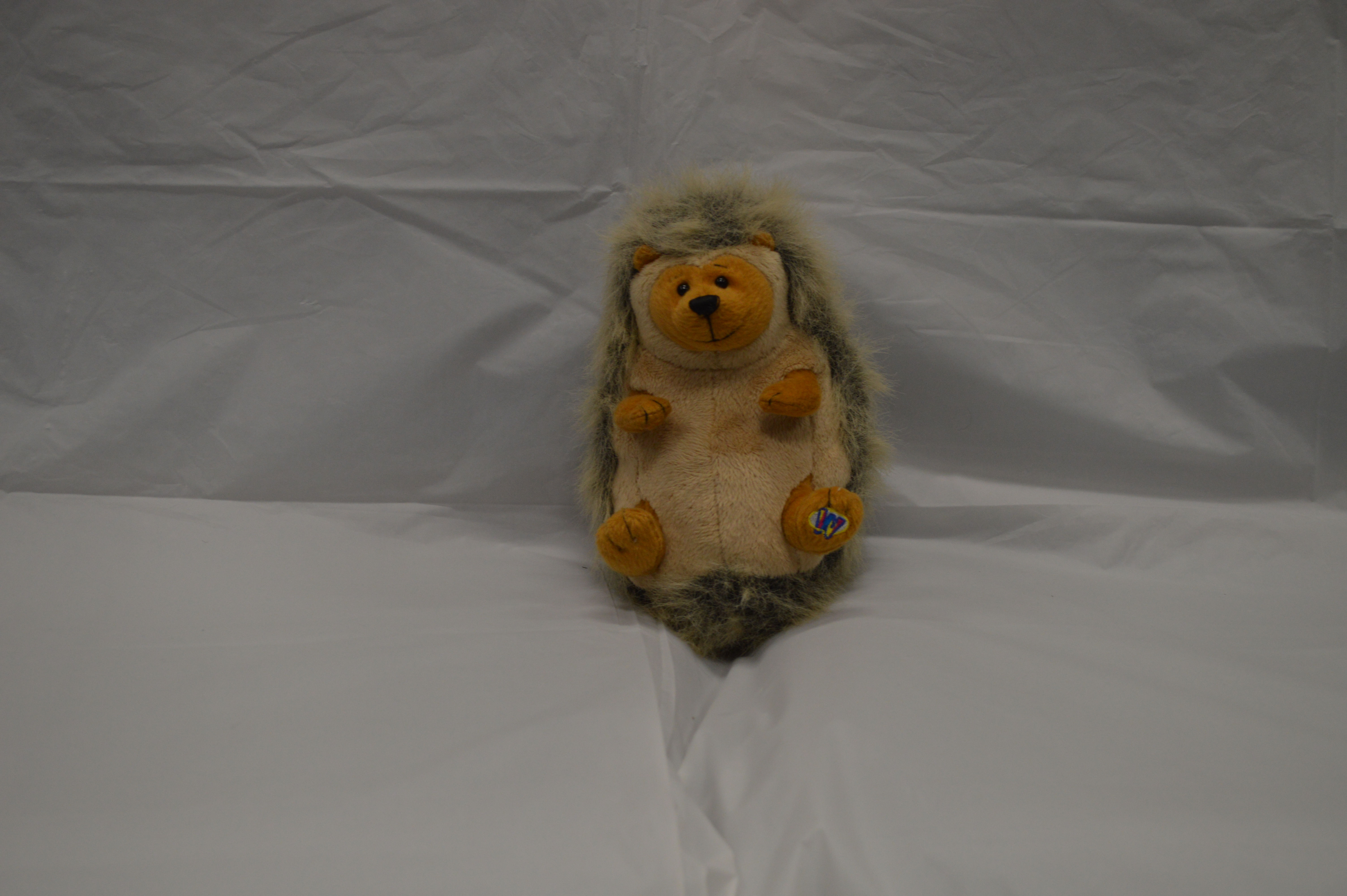 Small Brown Hedgehog 48