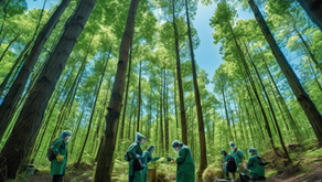 Discover IUSSI North-West European Section Society