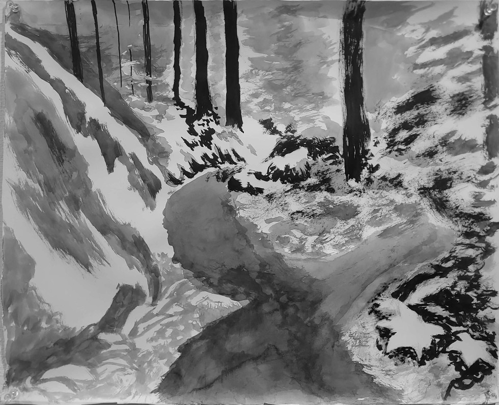 2025-02-26 11-38.jpg