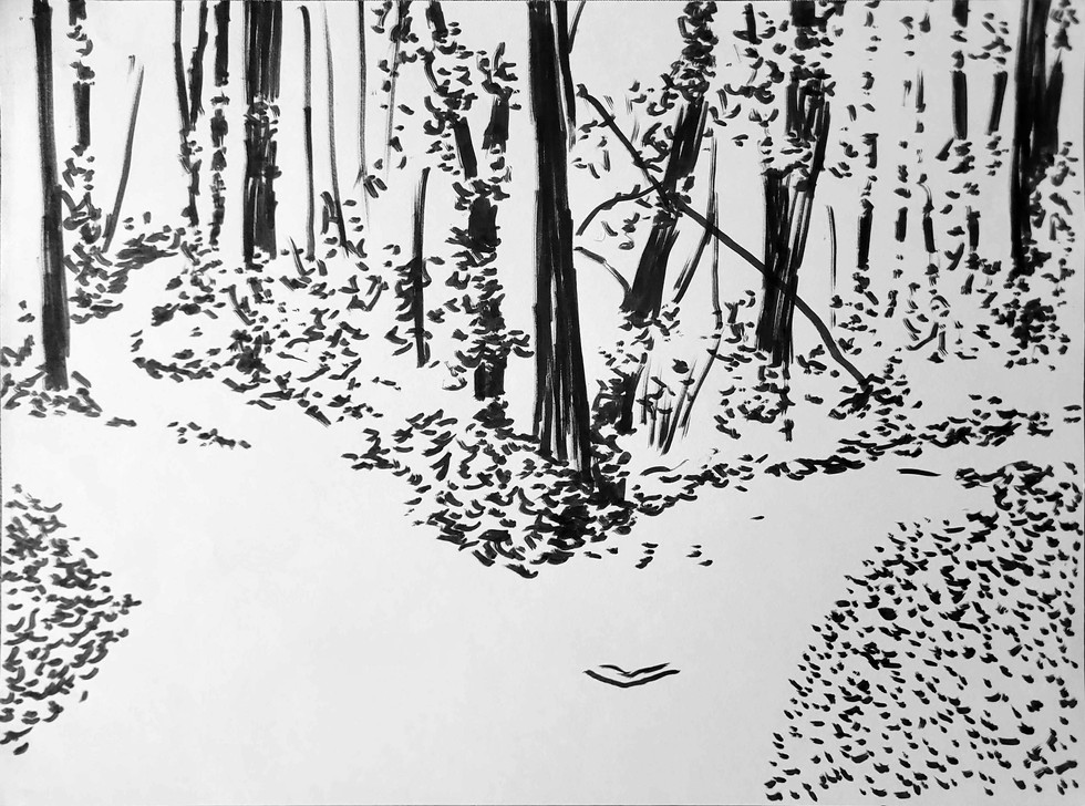 2025-03-17 20-35 (1).jpg