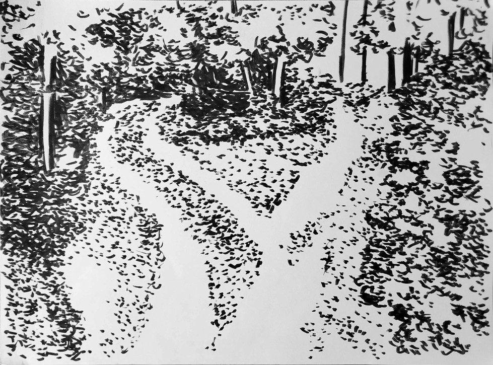 2025-03-17 20-45 (1).jpg