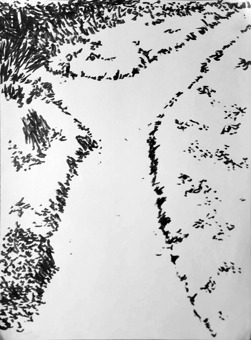 2025-03-17 20-50 (1).jpg