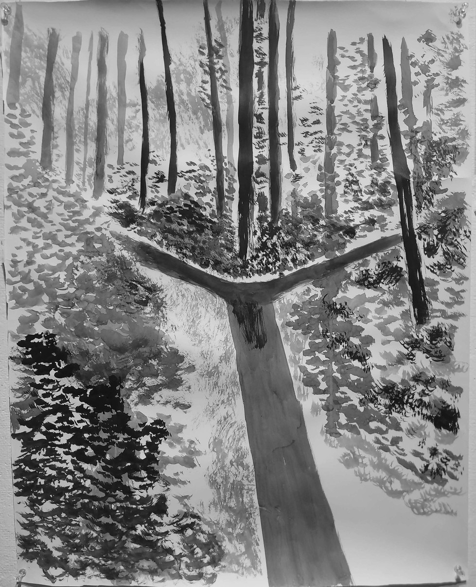 2025-02-26 11-39.jpg