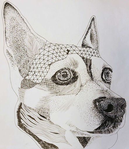 Patterned Pooch