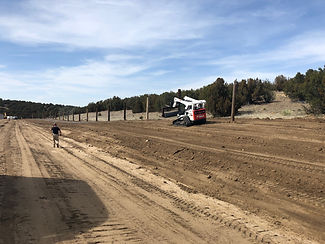 Habitat Construction