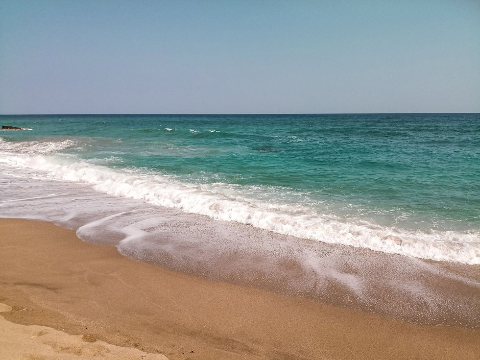 What Is Mindfulness and How Can It Support Your Wellbeing?