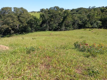 IMPERDÍVEL: Vendo a Chácara das Bênçãos com 1.000m² em Caldazinha por apenas 60 mil reais.