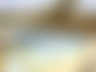 Senador Canedo: Reunião prevê metas para construção da nova Estação Tratamento de Água